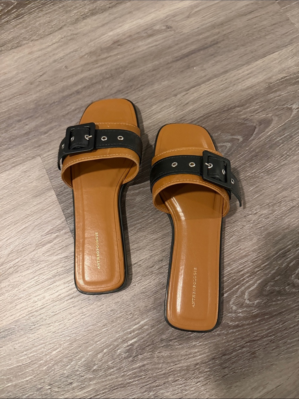 Anthropologie Tan Slide Sandals with Black Buckle Strap